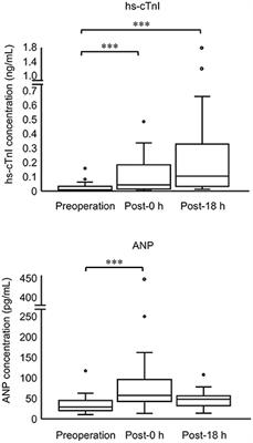 Perioperative changes in cardiac biomarkers in juvenile cats during neutering